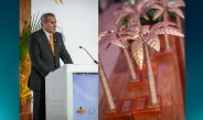 Gala Palma de Oro 2025: Empresas y periodistas unidos por la sostenibilidad