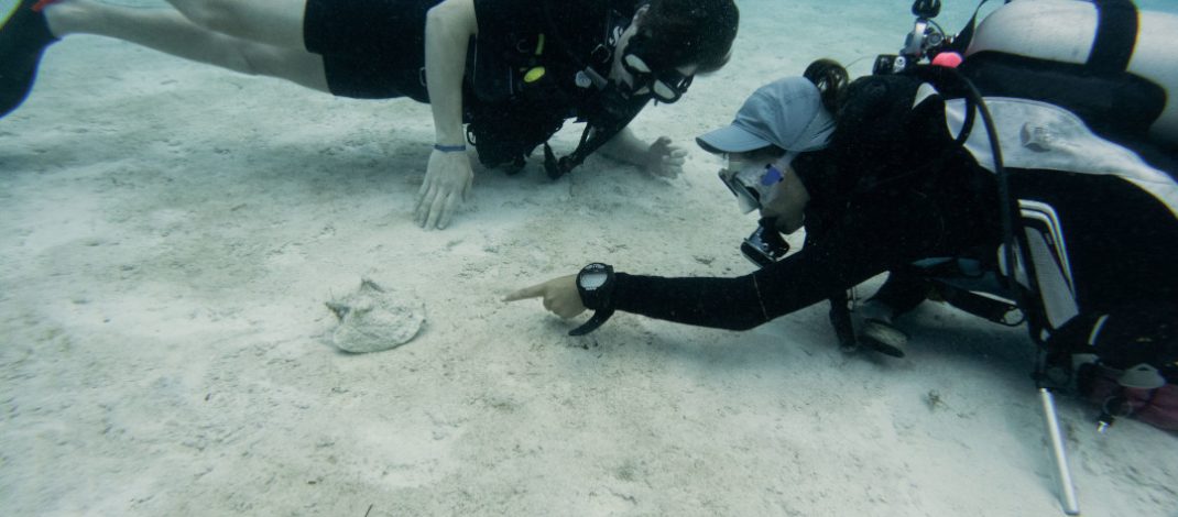 Viajar sin dejar huella: así transforma Club Med la forma de hacer turismo