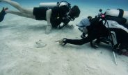 Viajar sin dejar huella: así transforma Club Med la forma de hacer turismo