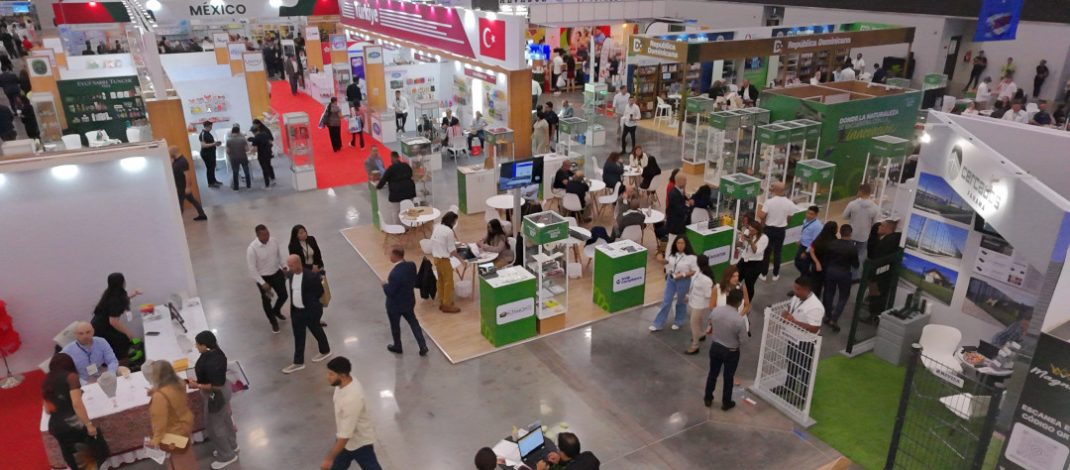 CCIAP invita a votar por Panamá en las categorías que ha sido nominado en los World MICE Awards 2025
