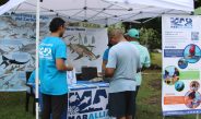 “Feria Azul” impulsa el emprendimiento y la conservación marina en Punta Chame