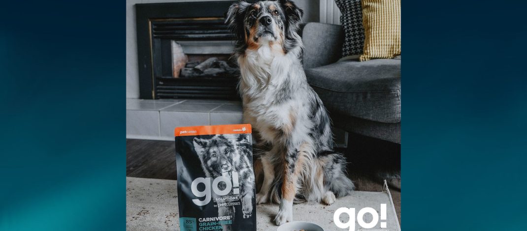 Alianza estratégica con Grupo BIOS