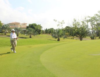 Torneo Empresarial ADEDAPP 2026 – Copa BC-Logic