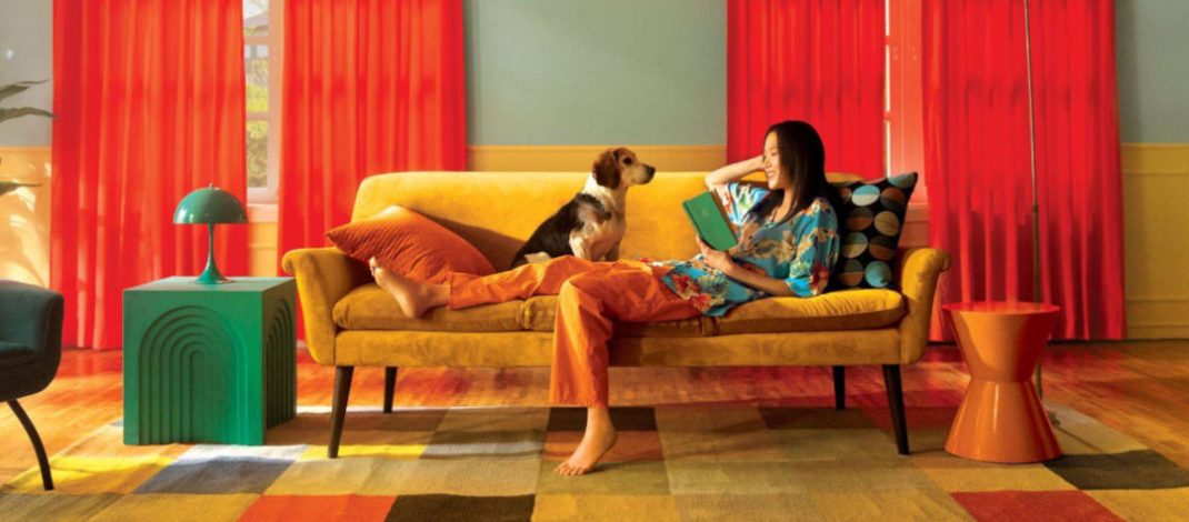 ¿Tu mascota se queda sola en casa? Así puedes mantenerla fresca y cómoda